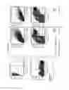 Fig. 49 - Microsphere-based delivery and ex vivo manipulation of dendritic cells for autoimmune therapies