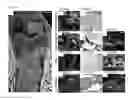Fig. 22 - Factors and cells that provide for induction of bone, bone marrow, and cartilage