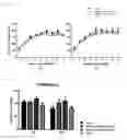 Fig. 09 - NUTRITIONAL COMPOSITIONS FOR PROMOTING GUT BARRIER FUNCTION AND AMELIORATING VISCERAL PAIN