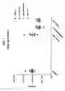 Fig. 02 - Compositions comprising bacterial strains