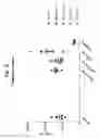 Fig. 11 - Compositions comprising bacterial strains