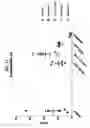 Fig. 13 - Compositions comprising bacterial strains