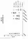 Fig. 19 - Compositions comprising bacterial strains