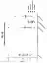Fig. 27 - Compositions comprising bacterial strains