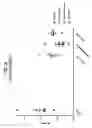 Fig. 28 - Compositions comprising bacterial strains