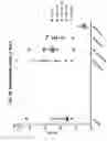 Fig. 48 - Compositions comprising bacterial strains