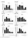 Fig. 08 - COMPOSITIONS CONTAINING A SPIRANTHES SINENSIS EXTRACT AND PHARMACEUTICAL APPLICATIONS THEREOF