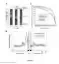 Fig. 09 - Modulation and detection of a neuronal alternative splicing regulatory network for treatment and diagnosis of neurological disorders