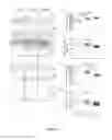Fig. 28 - Modulation and detection of a neuronal alternative splicing regulatory network for treatment and diagnosis of neurological disorders