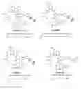 Fig. 01 - Cyclic peptides and methods using same