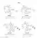 Fig. 04 - Cyclic peptides and methods using same