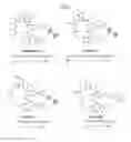 Fig. 05 - Cyclic peptides and methods using same
