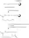 Fig. 63 - PEPTIDOMIMETIC MACROCYCLES AND USES THEREOF