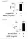 Fig. 04 - Methods and compositions for reducing blood glucose levels