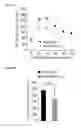 Fig. 09 - Methods and compositions for reducing blood glucose levels