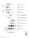 Fig. 08 - Treating seizure with recombinant alkaline phosphatase