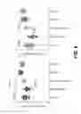 Fig. 09 - Treating seizure with recombinant alkaline phosphatase