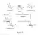 Fig. 06 - Conjugated C1 Esterase Inhibitor and Uses Thereof