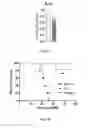Fig. 08 - COMPOSITIONS AND METHODS FOR PREVENTING AND TREATING GRAFT VERSUS HOST DISEASE