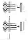 Fig. 02 - Compositions and methods for T cell delivery of therapeutic molecules