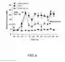 Fig. 06 - Polypeptide complex of titin-telethonin beta-pleated sheet structure as polypeptide drug carrier, method of using the polypeptide complex, and fusion protein complex thereof