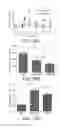 Fig. 09 - Polypeptide complex of titin-telethonin beta-pleated sheet structure as polypeptide drug carrier, method of using the polypeptide complex, and fusion protein complex thereof