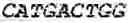 Fig. 03 - Biological materials and uses thereof