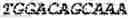 Fig. 04 - Biological materials and uses thereof