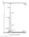 Fig. 124 - Biological materials and uses thereof