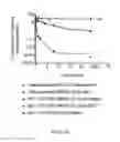 Fig. 145 - Biological materials and uses thereof