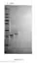 Fig. 166 - Biological materials and uses thereof