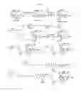 Fig. 05 - Biomolecule conjugates