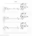 Fig. 10 - Biomolecule conjugates