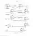 Fig. 16 - Biomolecule conjugates