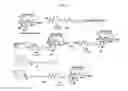 Fig. 19 - Biomolecule conjugates