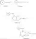 Fig. 91 - Biomolecule conjugates