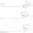 Fig. 99 - Biomolecule conjugates