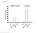 Fig. 07 - Method of gene transfer for the treatment of recessive catecholaminergic polymorphic ventricular tachycardia (CPVT)