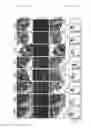 Fig. 20 - Recombinant adeno-associated virus capsids resistant to pre-existing human neutralizing antibodies