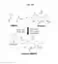 Fig. 12 - Thromboresistant-anticoagulant extracellular matrix