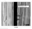 Fig. 19 - Inorganic biodegradable substrates for devices and systems