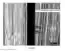 Fig. 20 - Inorganic biodegradable substrates for devices and systems