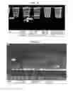 Fig. 08 - Gas exchange composite membranes and methods of use thereof