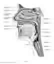Fig. 06 - AUTO-FIT MASK