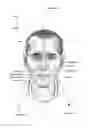 Fig. 07 - AUTO-FIT MASK