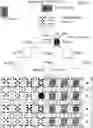 Fig. 09 - Seven Hits
