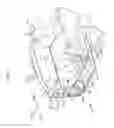 Fig. 02 - Vehicle body side structure