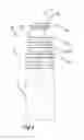 Fig. 04 - Liquid dispenser