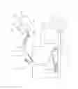 Fig. 09 - ARTICULATED FRONT LOADER ARM MECHANISM FOR USE WITH A CONVENTIONAL REFUSE COLLECTION EXTENDED CAB CHASSIS