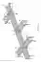 Fig. 07 - Motor driven roller support